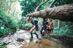 BIB: 
                            <button type="button" onclick="openModal(25372062)" class="btn btn-primary btn-sm float-right btn-popup" data-toggle="modal" data-target=".modal-high-quality">
                        <i class="fas fa-shopping-cart"></i> Add to Cart
                    </button>
                                            <button type="button" onclick="isThisMe(25372062, true)" class="btn btn-success btn-sm float-right btn-popup btn-isme hidden" data-toggle="tooltip" data-placement="bottom" title="นี่คือรูปของคุณใช่ไหม คลิกที่นี่เพื่อเอาเข้าอัลบั้ม">
                        <i class="fas fa-plus"></i> Add to album
                    </button>
                    <button type="button" onclick="isThisMe(25372062, false)" class="btn btn-warning btn-sm float-right btn-popup btn-isnotme hidden">
                        <i class="fas fa-ban"></i> Remove from album
                    </button>